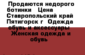 Продаются недорого ботинки › Цена ­ 1 800 - Ставропольский край, Пятигорск г. Одежда, обувь и аксессуары » Женская одежда и обувь   